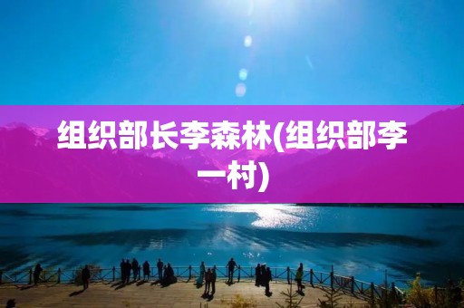 组织部长李森林(组织部李一村)