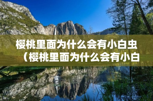 樱桃里面为什么会有小白虫(樱桃里面为什么会有小白虫图片) 樱桃里面为什么会有小白虫(樱桃里面为什么会有小白虫图片)