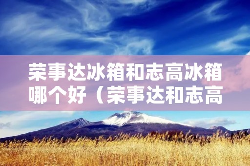 荣事达冰箱和志高冰箱哪个好（荣事达和志高哪个冰柜好）