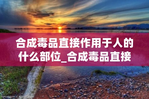 合成毒品直接作用于人的什么部位_合成毒品直接作用于人的什么部位a 合成毒品直接作用于人的什么部位_合成毒品直接作用于人的什么部位a