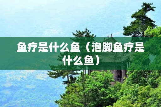 鱼疗是什么鱼（泡脚鱼疗是什么鱼）