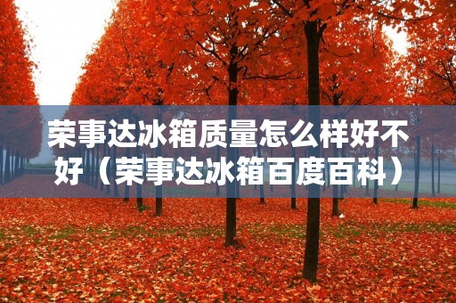 荣事达冰箱质量怎么样好不好（荣事达冰箱百度百科）