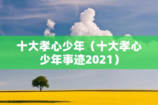 十大孝心少年（十大孝心少年事迹2021）