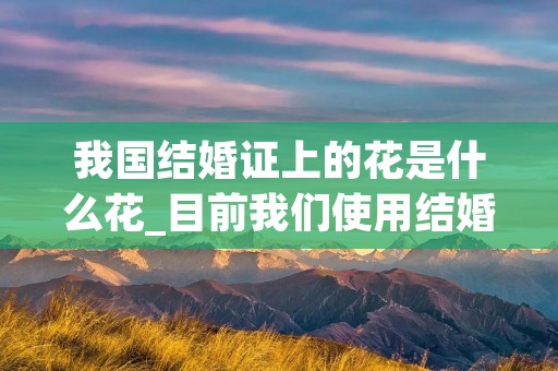我国结婚证上的花是什么花_目前我们使用结婚证上的花是什么花 我国结婚证上的花是什么花_目前我们使用结婚证上的花是什么花