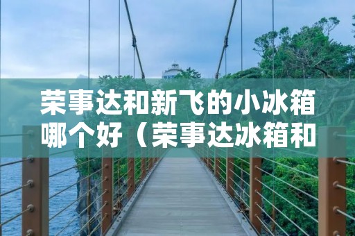 荣事达和新飞的小冰箱哪个好（荣事达冰箱和新飞冰箱哪个好）