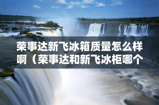 荣事达新飞冰箱质量怎么样啊（荣事达和新飞冰柜哪个好）