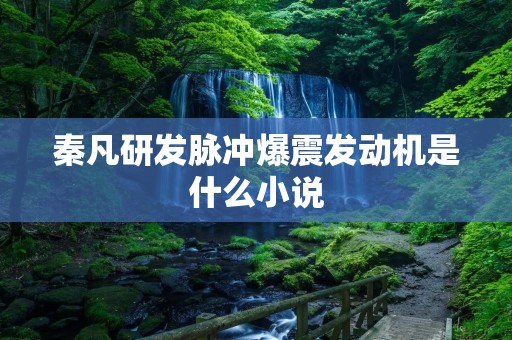秦凡研发脉冲爆震发动机是什么小说 秦凡研发脉冲爆震发动机是什么小说