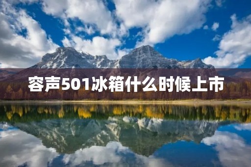 容声501冰箱什么时候上市 容声501冰箱什么时候上市