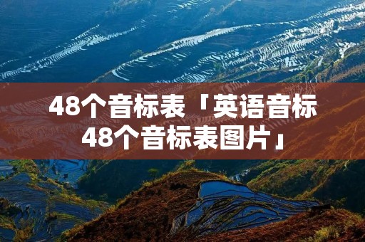 48个音标表「英语音标48个音标表图片」