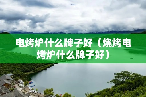 电烤炉什么牌子好（烧烤电烤炉什么牌子好）