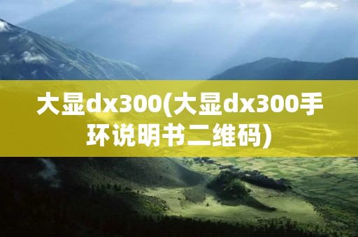 大显dx300(大显dx300手环说明书二维码)
