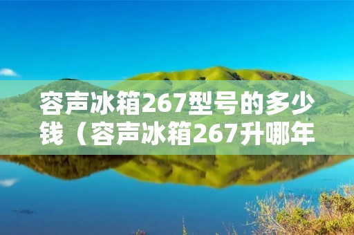容声冰箱267型号的多少钱（容声冰箱267升哪年出产）