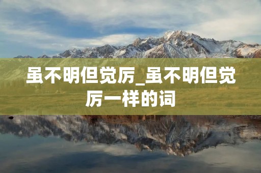 虽不明但觉厉_虽不明但觉厉一样的词