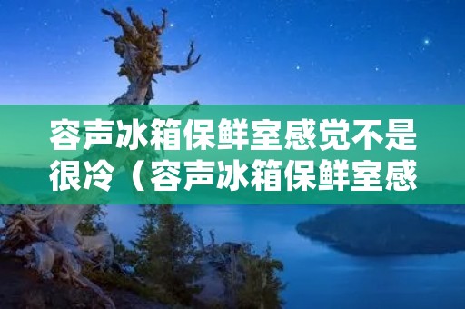 容声冰箱保鲜室感觉不是很冷（容声冰箱保鲜室感觉不是很冷怎么办）