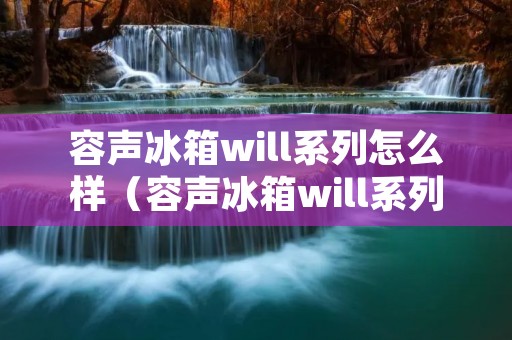 容声冰箱will系列怎么样（容声冰箱will系列怎么样啊）