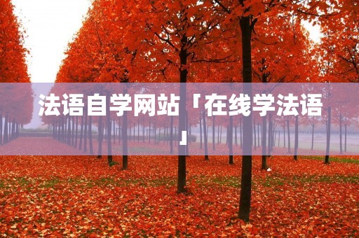 法语自学网站「在线学法语」
