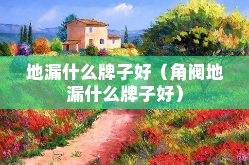 地漏什么牌子好（角阀地漏什么牌子好）
