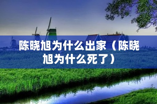 陈晓旭为什么出家（陈晓旭为什么死了）