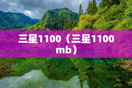 三星1100（三星1100mb）