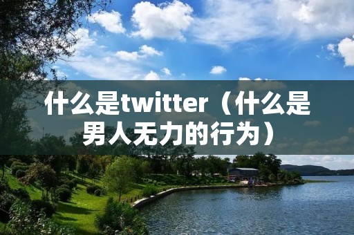 什么是twitter(什么是男人无力的行为) 什么是twitter(什么是男人无力的行为)