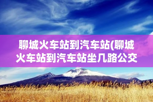 聊城火车站到汽车站(聊城火车站到汽车站坐几路公交车) 聊城火车站到汽车站(聊城火车站到汽车站坐几路公交车)