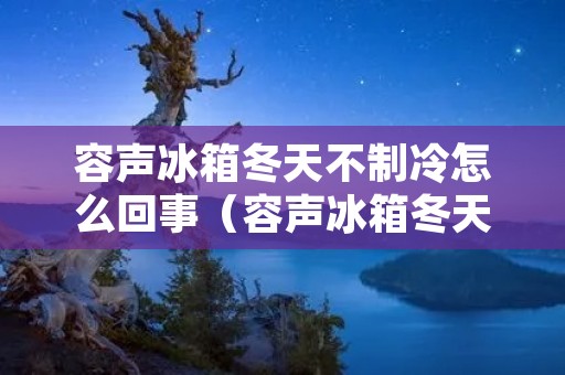 容声冰箱冬天不制冷怎么回事（容声冰箱冬天不制冷怎么回事视频）
