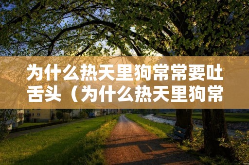 为什么热天里狗常常要吐舌头（为什么热天里狗常常要吐舌头）