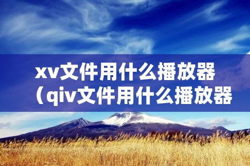 xv文件用什么播放器（qiv文件用什么播放器）