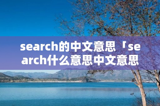 search的中文意思「search什么意思中文意思」
