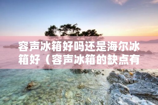 容声冰箱好吗还是海尔冰箱好（容声冰箱的缺点有哪些）