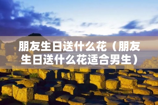 朋友生日送什么花(朋友生日送什么花适合男生) 朋友生日送什么花(朋友生日送什么花适合男生)