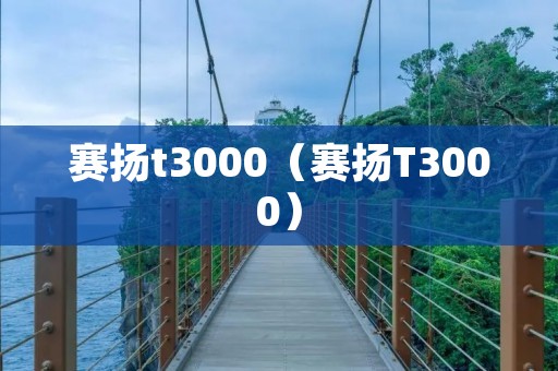 赛扬t3000（赛扬T3000）