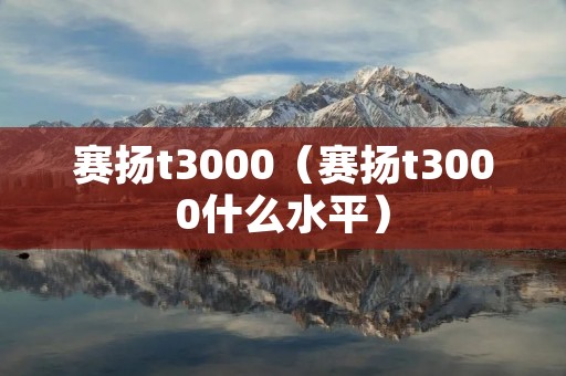 赛扬t3000(赛扬t3000什么水平) 赛扬t3000(赛扬t3000什么水平)