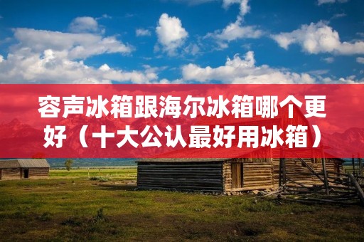容声冰箱跟海尔冰箱哪个更好（十大公认最好用冰箱）