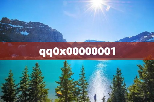 qq0x00000001 qq0x00000001