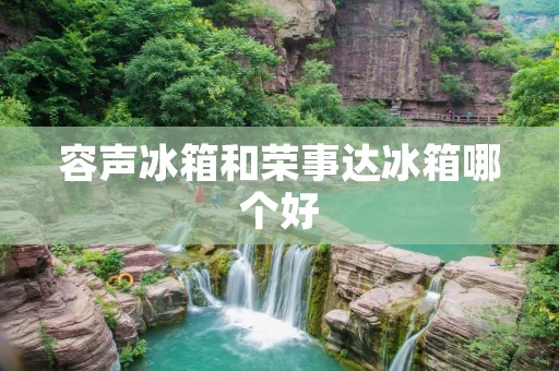 容声冰箱和荣事达冰箱哪个好