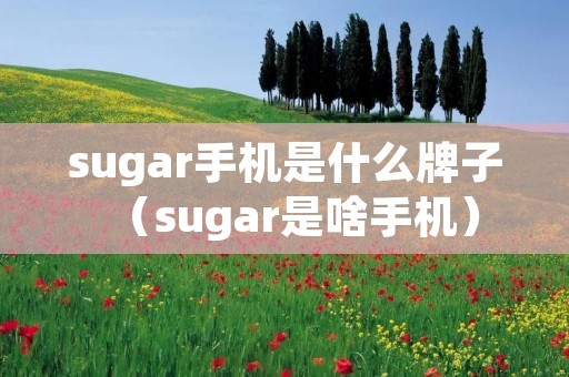 sugar手机是什么牌子(sugar是啥手机) sugar手机是什么牌子(sugar是啥手机)