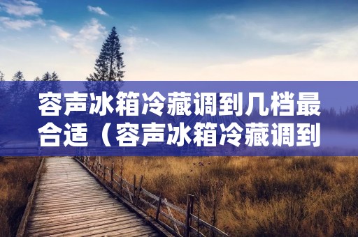 容声冰箱冷藏调到几档最合适（容声冰箱冷藏调到几档最合适温度）