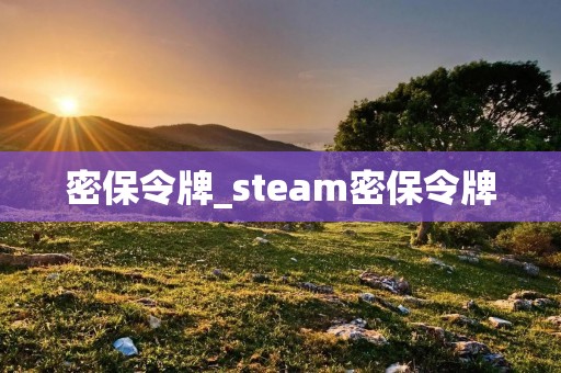 密保令牌_steam密保令牌