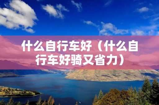 什么自行车好（什么自行车好骑又省力）