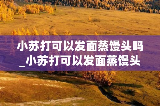 小苏打可以发面蒸馒头吗_小苏打可以发面蒸馒头吗比例