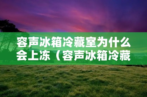 容声冰箱冷藏室为什么会上冻（容声冰箱冷藏室太冷是什么原因）