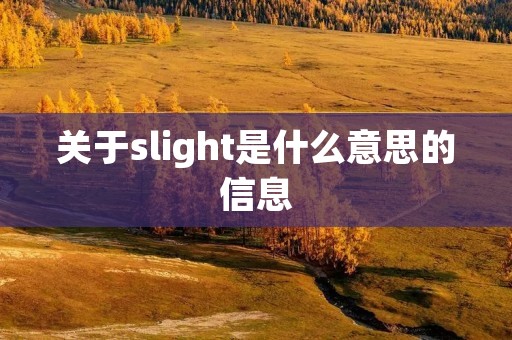关于slight是什么意思的信息
