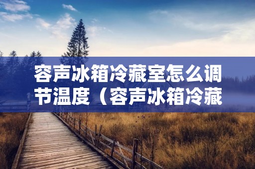 容声冰箱冷藏室怎么调节温度（容声冰箱冷藏调多少℃最好）