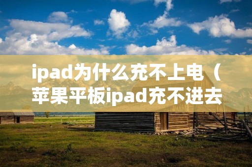 ipad为什么充不上电（苹果平板ipad充不进去电怎么办）