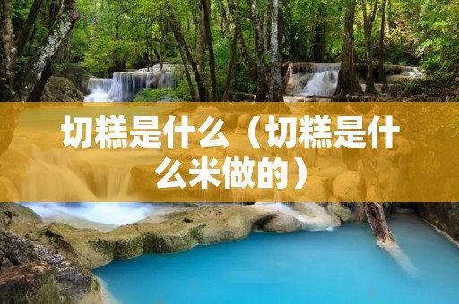 切糕是什么（切糕是什么米做的）