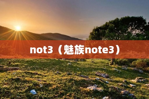 not3（魅族note3）