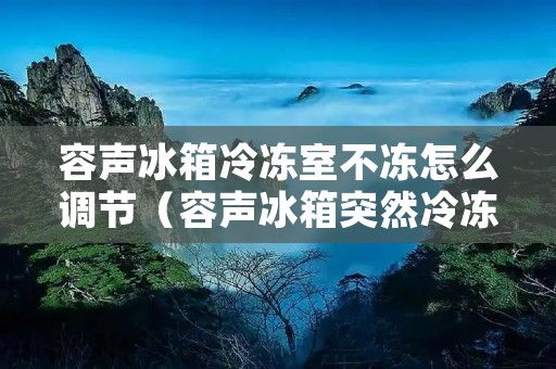容声冰箱冷冻室不冻怎么调节（容声冰箱突然冷冻不冻了）