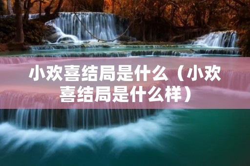 小欢喜结局是什么（小欢喜结局是什么样）