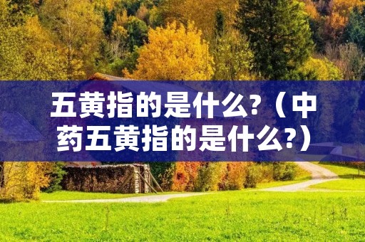 五黄指的是什么?(中药五黄指的是什么?) 五黄指的是什么?(中药五黄指的是什么?)